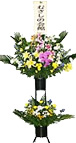 生花3 生花3